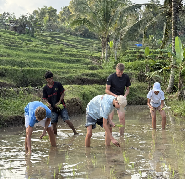 Noltitude - Visit Tabanan by D.E.S.A. - Image 3